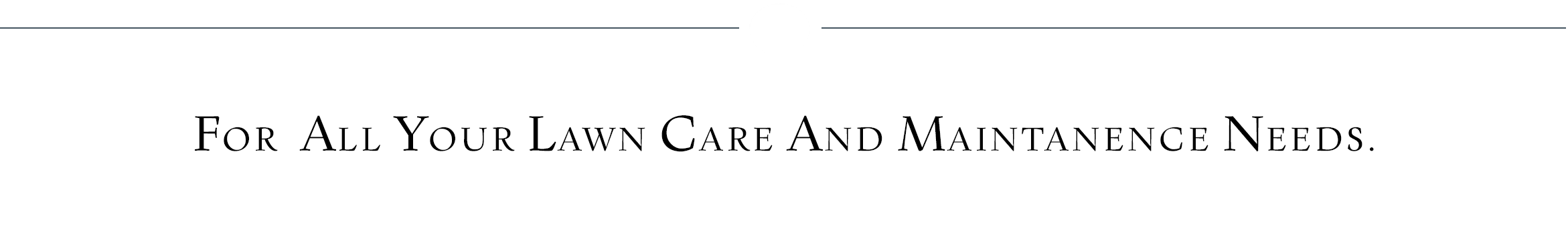 logo divider bar