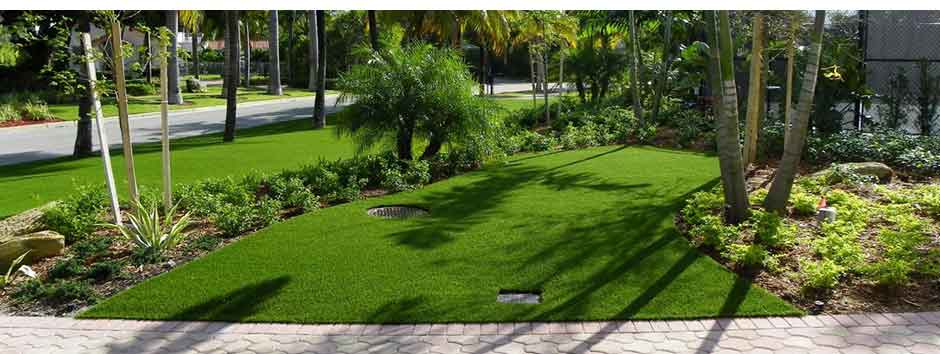 tropical foliage in front of a house